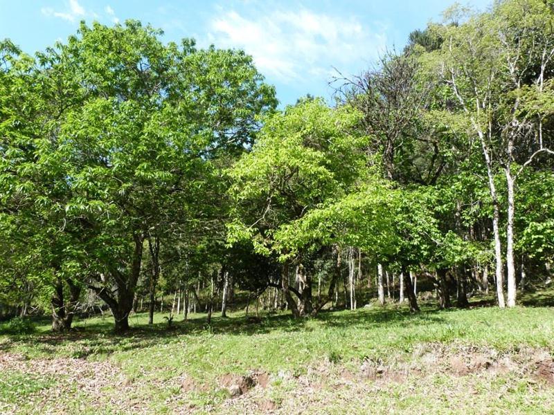 グラマド Casarao Da Cascataヴィラ エクステリア 写真